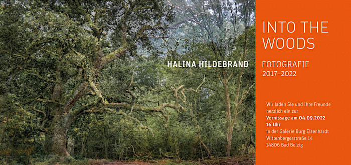 Halina Hildebrandt – Into the wood