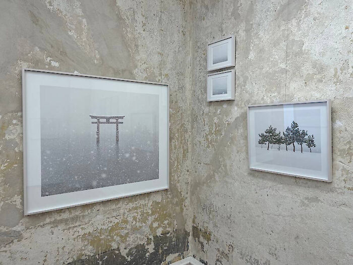 Eindrücke von der Ausstellung »Weiß wie Schnee«