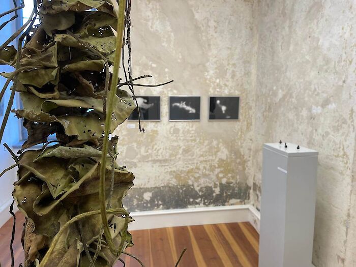 Kraftfeld – unsere thematische Gruppenausstellung 2025